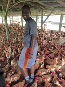 Eugene learned to enjoy being surrounded by a hundred chickens as we collected eggs this morning